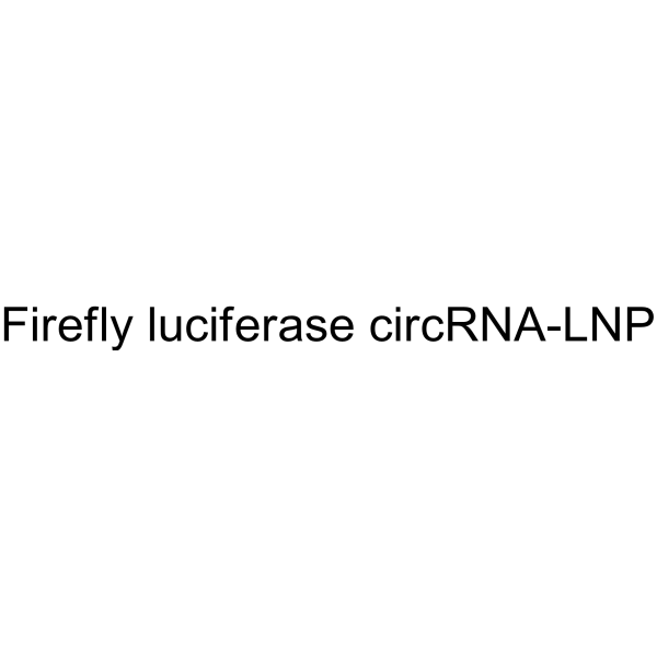 Firefly luciferase circRNA-LNP